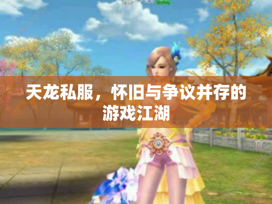 天龙私服，怀旧与争议并存的游戏江湖