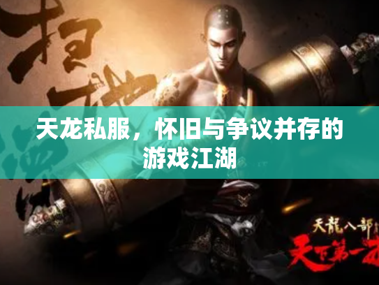 天龙私服，怀旧与争议并存的游戏江湖