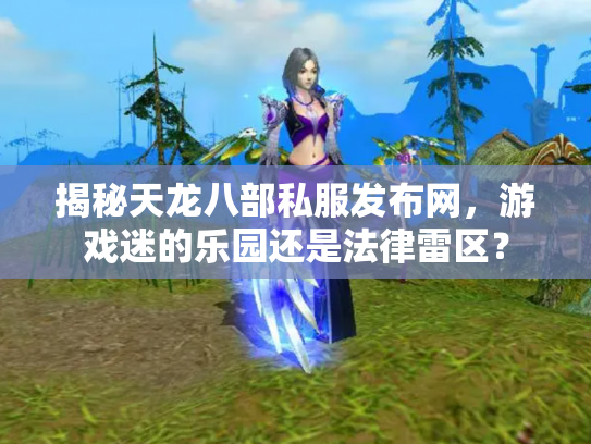 揭秘天龙八部私服发布网，游戏迷的乐园还是法律雷区？