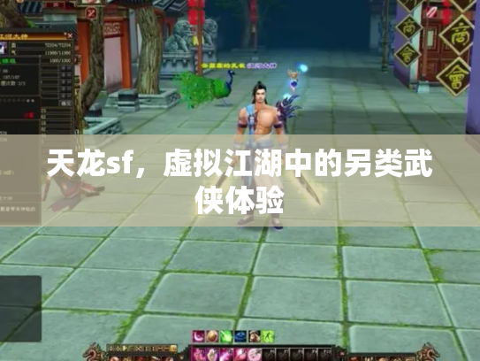 天龙sf，虚拟江湖中的另类武侠体验