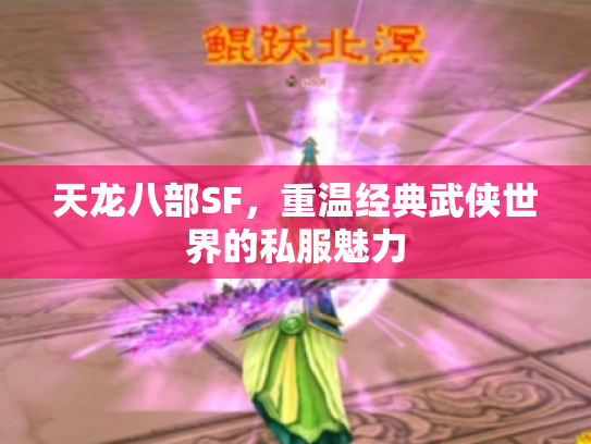 天龙八部SF，重温经典武侠世界的私服魅力