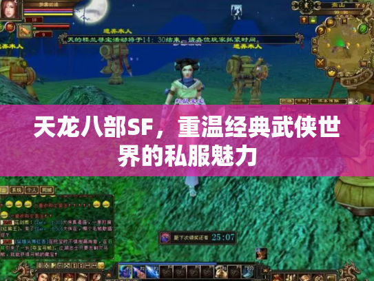 天龙八部SF，重温经典武侠世界的私服魅力