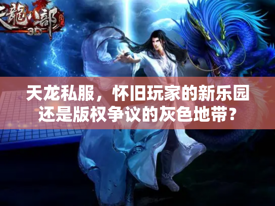天龙私服，怀旧玩家的新乐园还是版权争议的灰色地带？