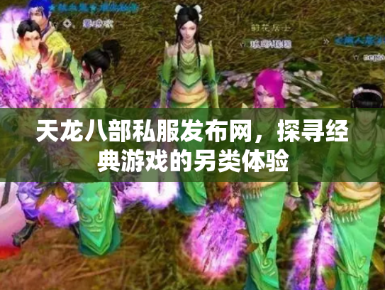 天龙八部私服发布网，探寻经典游戏的另类体验