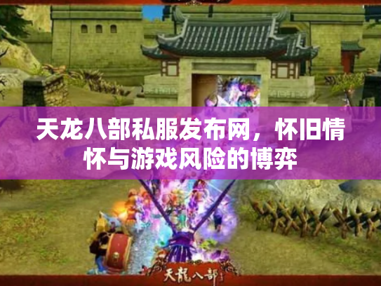 天龙八部私服发布网，怀旧情怀与游戏风险的博弈