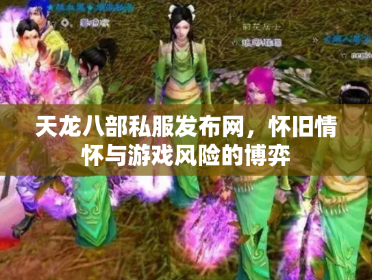 天龙八部私服发布网，怀旧情怀与游戏风险的博弈