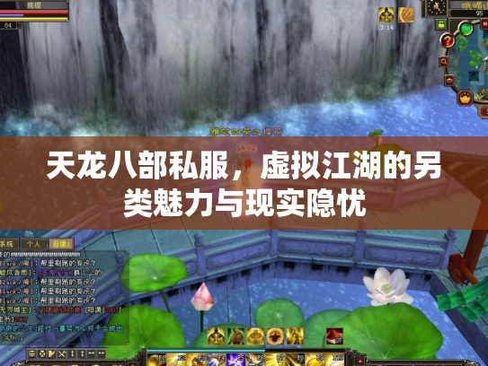 天龙八部私服，虚拟江湖的另类魅力与现实隐忧