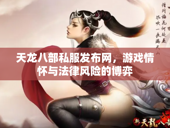 天龙八部私服发布网，游戏情怀与法律风险的博弈