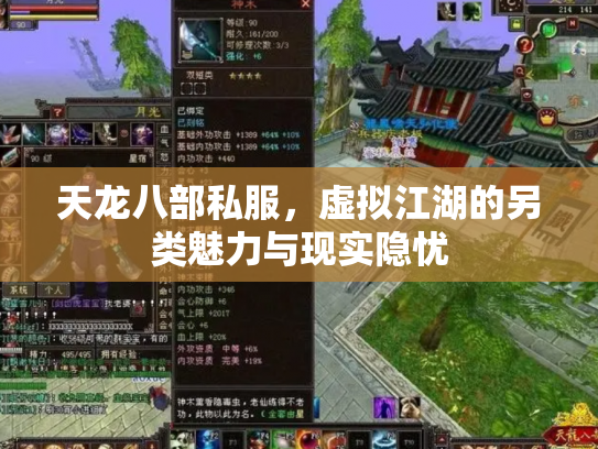 天龙八部私服，虚拟江湖的另类魅力与现实隐忧