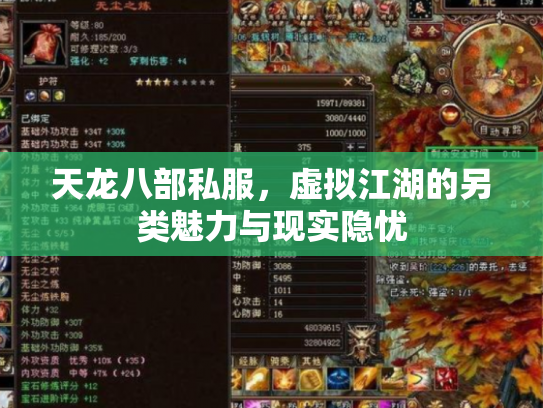 天龙八部私服，虚拟江湖的另类魅力与现实隐忧