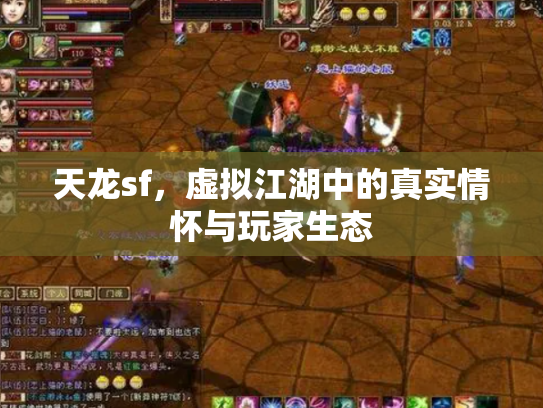 天龙sf，虚拟江湖中的真实情怀与玩家生态