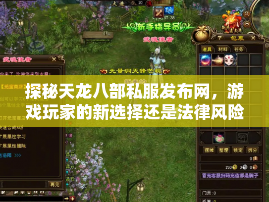 探秘天龙八部私服发布网，游戏玩家的新选择还是法律风险？