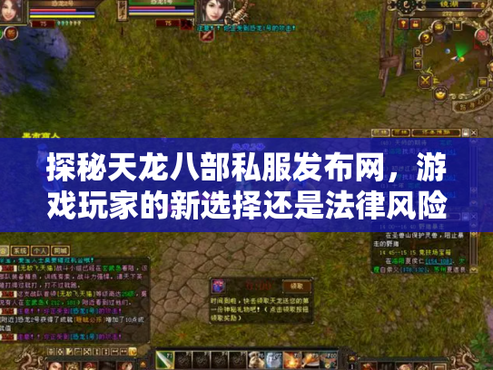 探秘天龙八部私服发布网，游戏玩家的新选择还是法律风险？