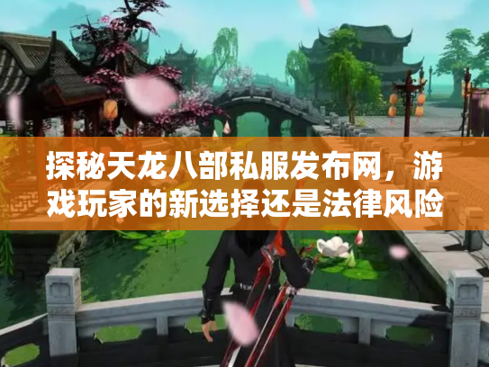 探秘天龙八部私服发布网，游戏玩家的新选择还是法律风险？