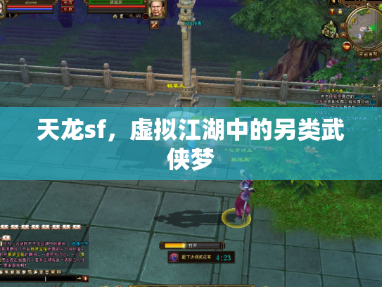 天龙sf，虚拟江湖中的另类武侠梦
