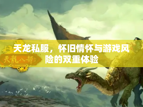 天龙私服，怀旧情怀与游戏风险的双重体验