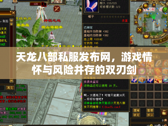 天龙八部私服发布网，游戏情怀与风险并存的双刃剑