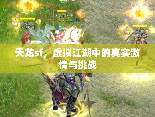 天龙sf，虚拟江湖中的真实激情与挑战
