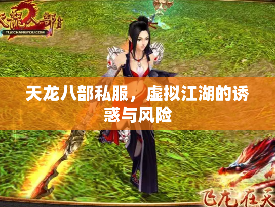 天龙八部私服，虚拟江湖的诱惑与风险