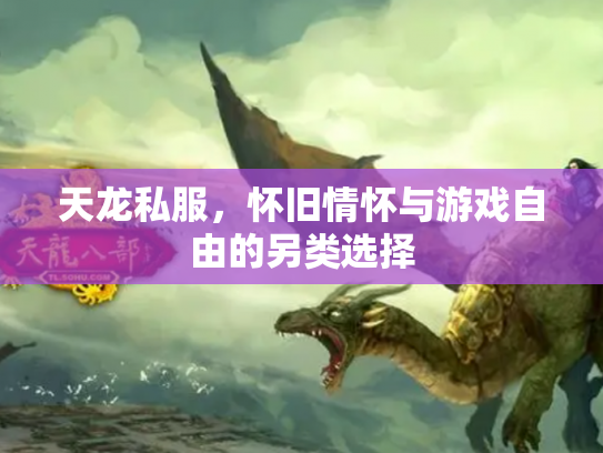 天龙私服，怀旧情怀与游戏自由的另类选择