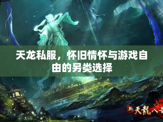 天龙私服，怀旧情怀与游戏自由的另类选择