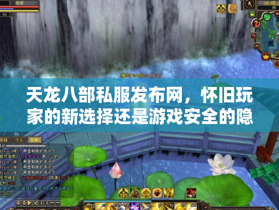 天龙八部私服发布网，怀旧玩家的新选择还是游戏安全的隐患？