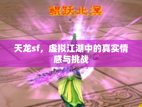 天龙sf，虚拟江湖中的真实情感与挑战