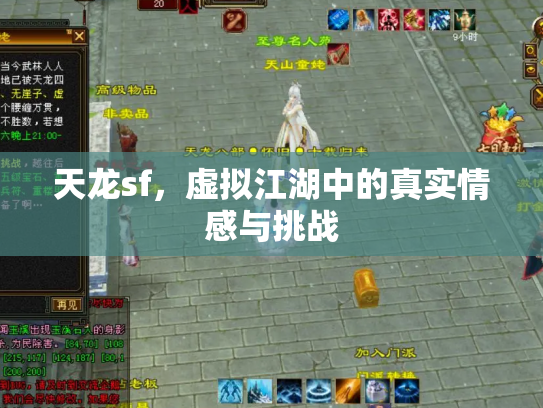 天龙sf，虚拟江湖中的真实情感与挑战