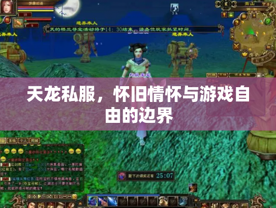 天龙私服，怀旧情怀与游戏自由的边界