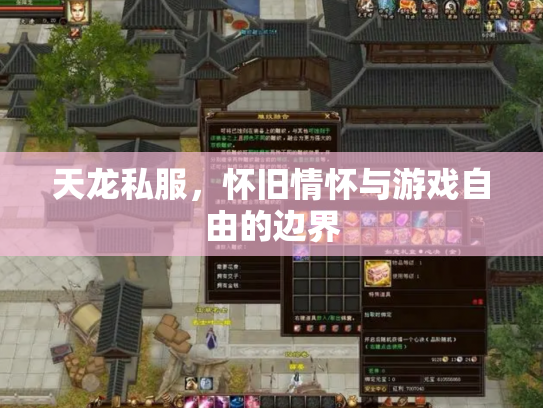天龙私服，怀旧情怀与游戏自由的边界