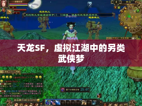 天龙SF，虚拟江湖中的另类武侠梦