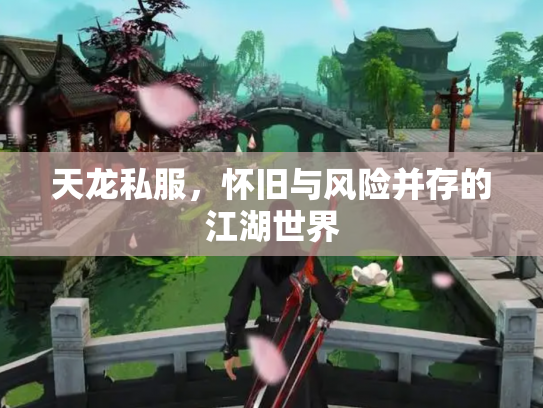 天龙私服，怀旧与风险并存的江湖世界
