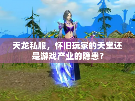 天龙私服，怀旧玩家的天堂还是游戏产业的隐患？
