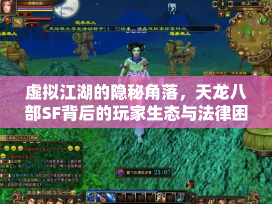 虚拟江湖的隐秘角落，天龙八部SF背后的玩家生态与法律困境