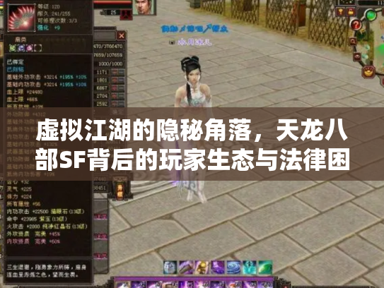 虚拟江湖的隐秘角落，天龙八部SF背后的玩家生态与法律困境
