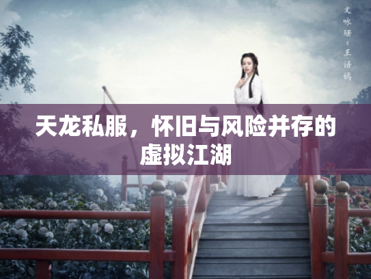 天龙私服，怀旧与风险并存的虚拟江湖