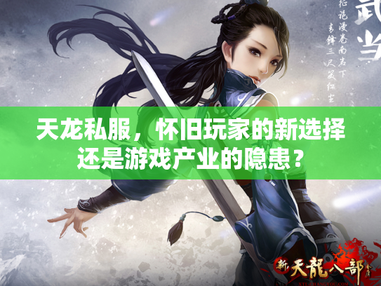 天龙私服，怀旧玩家的新选择还是游戏产业的隐患？