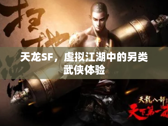 天龙SF，虚拟江湖中的另类武侠体验