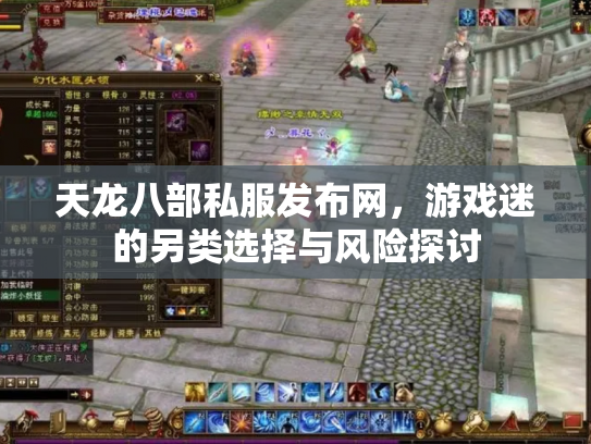 天龙八部私服发布网，游戏迷的另类选择与风险探讨