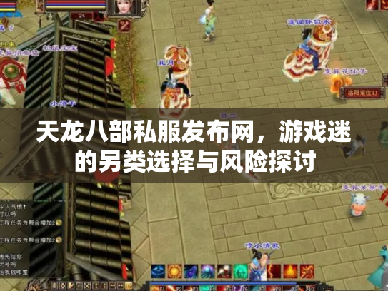 天龙八部私服发布网，游戏迷的另类选择与风险探讨