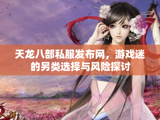 天龙八部私服发布网，游戏迷的另类选择与风险探讨