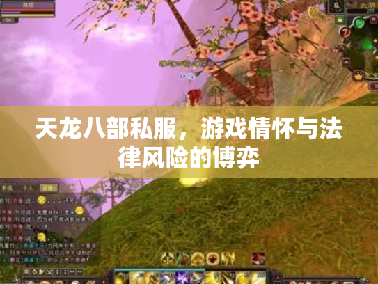 天龙八部私服，游戏情怀与法律风险的博弈