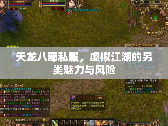 天龙八部私服，虚拟江湖的另类魅力与风险