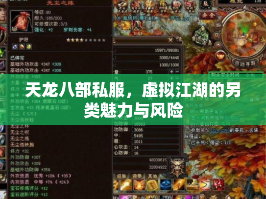 天龙八部私服，虚拟江湖的另类魅力与风险