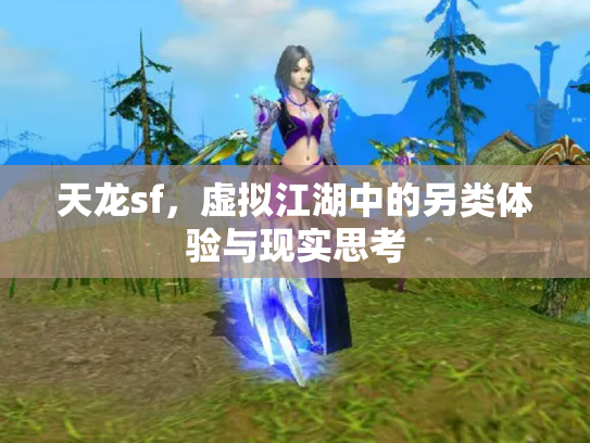 天龙sf，虚拟江湖中的另类体验与现实思考