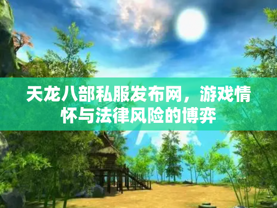 天龙八部私服发布网，游戏情怀与法律风险的博弈