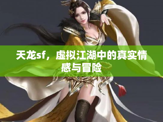 天龙sf，虚拟江湖中的真实情感与冒险