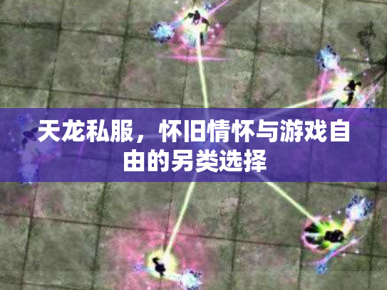 天龙私服，怀旧情怀与游戏自由的另类选择