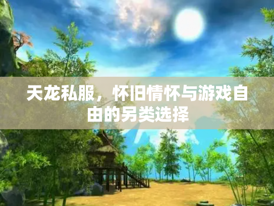 天龙私服，怀旧情怀与游戏自由的另类选择