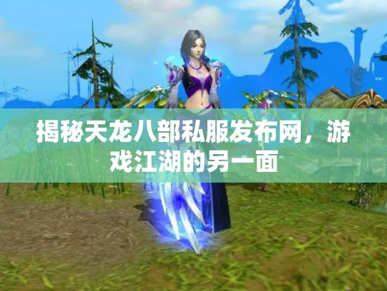 揭秘天龙八部私服发布网，游戏江湖的另一面